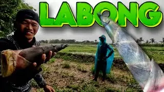 Nanguha ng Labong ang Team Bagets - EP1921
