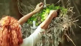 Forest fairies