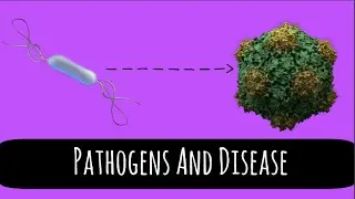 Pathogens and Disease - Bacteria and Viruses - GCSE Biology