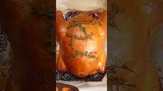 Vegan Thanksgiving Survival Tips