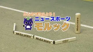 みんなで始めよう!ニュースポーツ～モルック編～