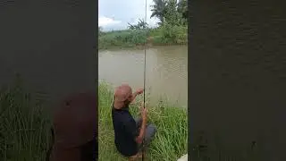 keseruan mancing teknik pecut di sungai bayawulung tambak #mancingliar #fishing