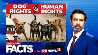 LIVE | Supreme Court On Stray Dogs In Delhi NCR | Priyanka Gandhi, Hamas And Israel #thehardfacts