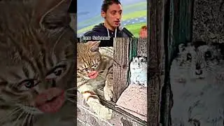 Ganda Mohalla #funny #ytshorts #comedy #viral #shorts #hindi #comedy #funny