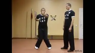 Chan Wah Shun Wing Chun 2