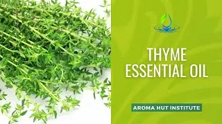 Thyme Essential Oil Benefits | Uses