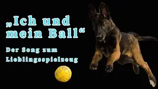 Ich und mein Ball - Hunde-Song (Official Music Video)