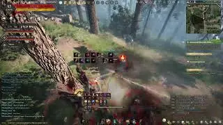 Black Desert Online Lv. 63 Awakening Ninja leveling part 115: finally knocked down after over an hr
