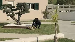 IMG 3965