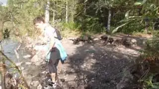 Banff Nationalpark, Johnston Canyon Campground