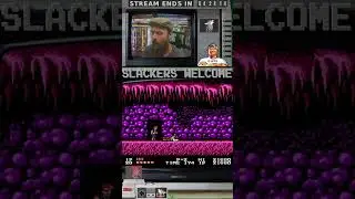 ThePerfectDream | #slackanater on #Twitch