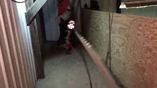 K9 Attic Deployment System