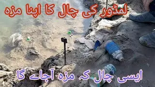 Lamdoor Fishing Best Live Chall Haryam Bridge Mohsin Shikari Live Hook Carp Hunting