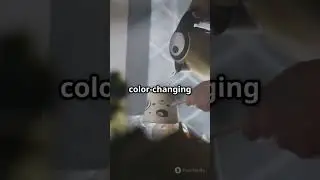 The Science Behind Magic Mugs! 😵😵 #ColorChangingMugs #ScienceExplained #ThermochromicPigment