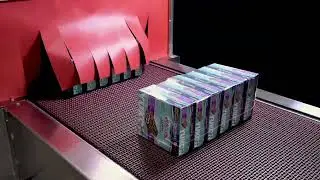 Shrink Wrap Machine for Popsicle Boxes | Polypack PH-24L