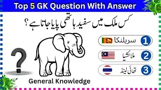 Top 5 GK Questions With Answers | Which country found in white elephant | Sab Quiz Hain