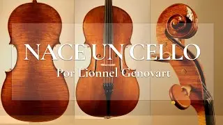 Cómo se hace un cello | Nace un violonchello | Building a cello
