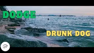 DODGE - หลบ (Come out) : Drunk Dog | Official Music Video