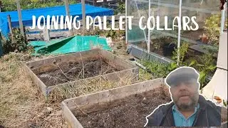 Joining pallet collars