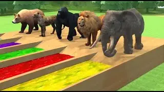 Learn Animals On Run colors For Kids | Elephant, Cow, Gorilla, Wild animals, Farm Animals