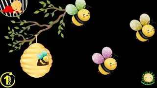 Baby Sensory Video | Cute Bees & Nature | Calm High Contrast Visuals