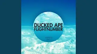 Flightnumber