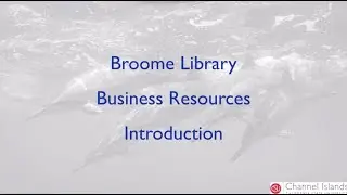 Business Databases in Broome Library