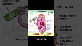 klebsiella#indiandoctors #homoeopathy #knowledge #