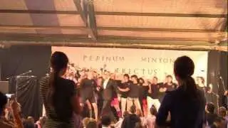Gangnam Style   XXXIV Diada Minyons de Terrassa
