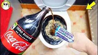 Will it Flush? Lots Of Mentos And Coke