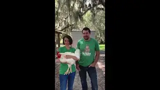 Charity Spotlight: Live Freely Sanctuary