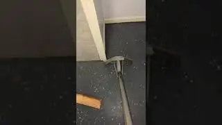 Water Extraction Richmond Ky, Mold Remediation Lexington Ky