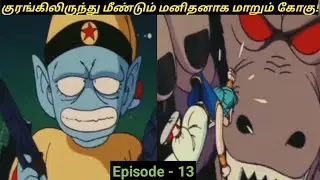 Dragon Ball Classic Episode - #13 Tamil Explanation || Tamil Anime Review