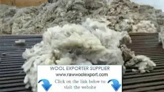 Raw Wool Export Companies Saudi Arabia