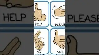 Basics #signlanguage  #bibekjeevan #father4son #asl