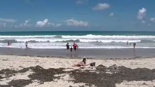 Spring Time Along the Space Coast Beaches