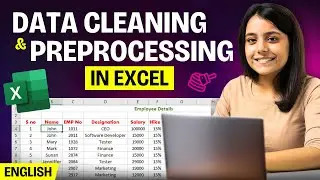 Microsoft Excel Tutorials : Data Cleaning and Preprocessing for Beginners (In English)