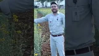TAIYO#best#rotavator#farming#LJF#agriculture#fieldtest#japanese#SUP6#kisan