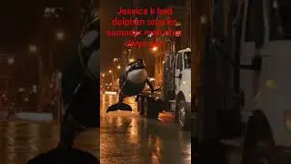 jessica k bad dolphin orca ko samander meh chor diyya gay #jessica #viral #trending #dolphin