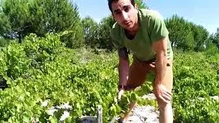 Zona recuperada Adrados