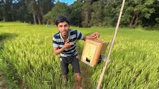 Welcome to Our Village Farm 🌾 | Found a Secret Box in Our Farm!😍