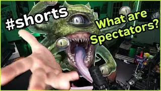 What is a Spectator in D&D?