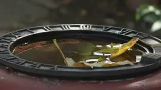 Macro Test - Sony FS7 4k