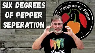 13 Peppers Live Stream