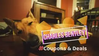 How To Save 20% Off On DOG BEDS? Charles Bentley Coupons 2021