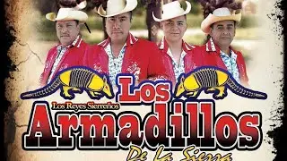 Mix con 30 Corridos y Rancheras De Pura Calidad del - Dueto Los Armadillos