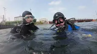 Scuba diving Manasquan Inlet at the Railroad Bridge and along the tracks - Lots of big fish