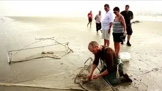 Koen gaat op zoek naar pietermannen | Wild Van Dieren | VTM