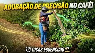 Terceira aduba&ccedil;&atilde;o do caf&eacute;! #viral #viralvideo #ro&ccedil;a #lavoura #agro #fypyoutube #foryou #fyp #fy #fun