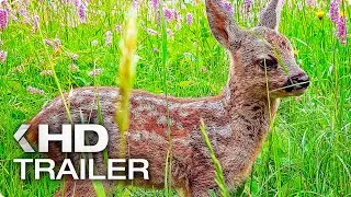 DIE WIESE Trailer German Deutsch (2019)